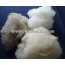 high quality mongolian cashmere fiber price hot sale in China